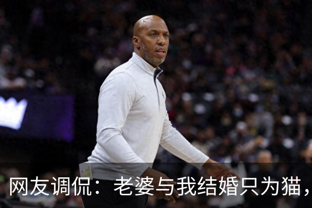 网友调侃：老婆与我结婚只为猫，聊天记录揭露真相